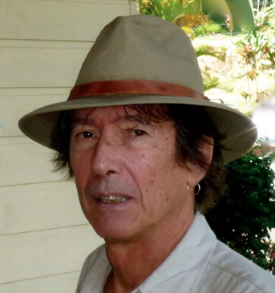 P'tit Louis - Auteur