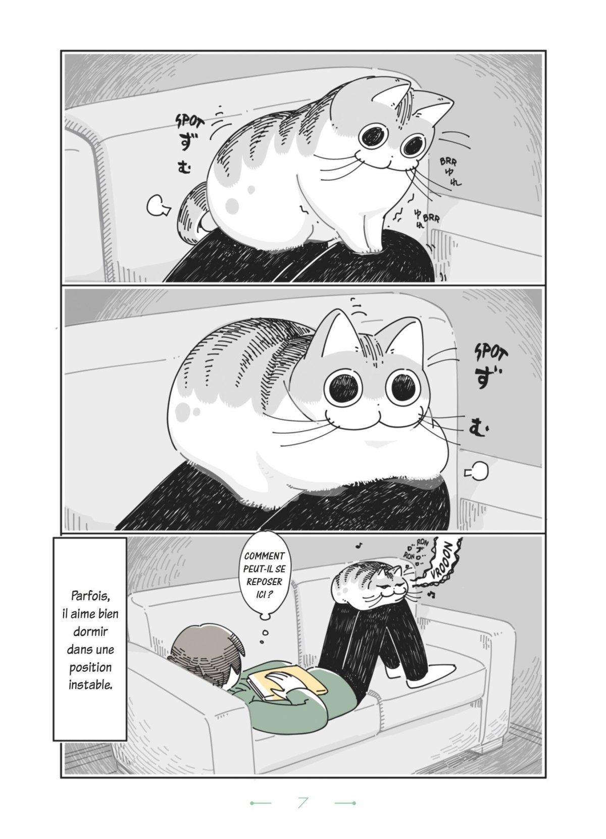 Nights With A Cat 3 - Extrait 1