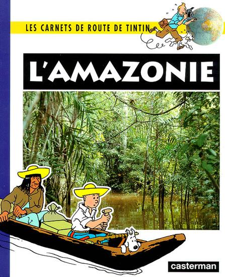 Amazonie (L')