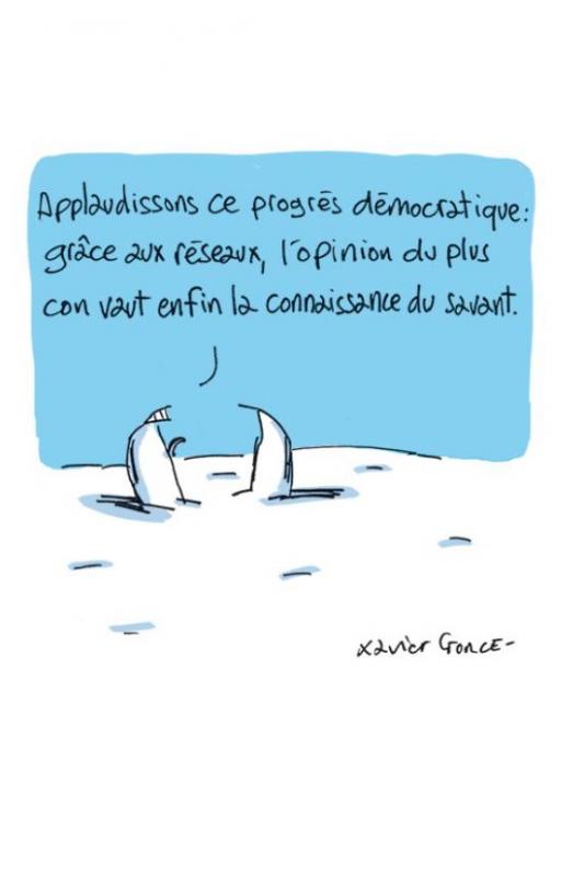 Infox à gogo - Extrait 1