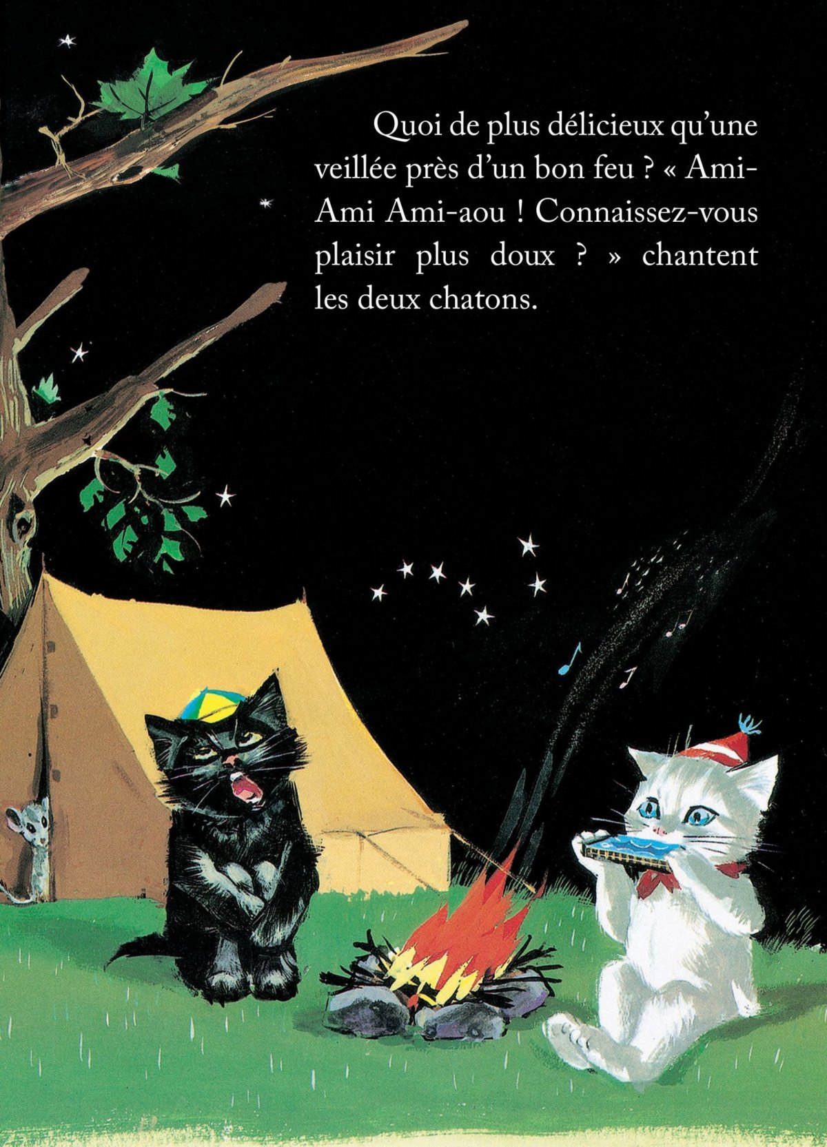 Pouf et Noiraud campeurs - Extrait 1