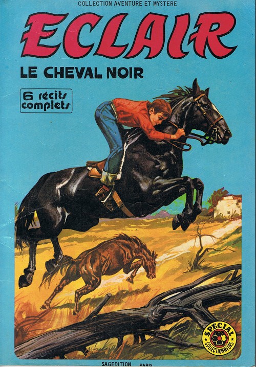 Le vainqueur du rodéo - Série Éclair le cheval noir par Giovanni Crivello - Couverture