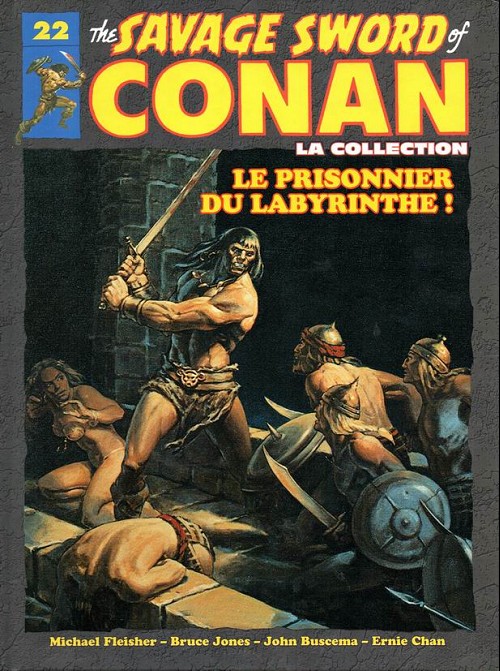 Prisonnier du labyrinthe ! (Le)