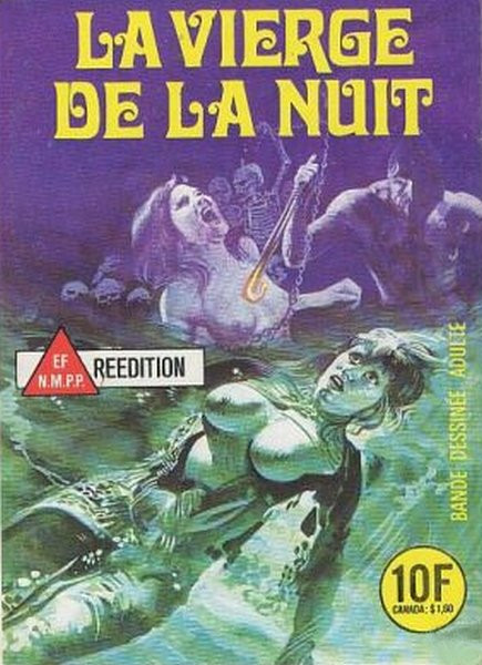 La vierge de la nuit