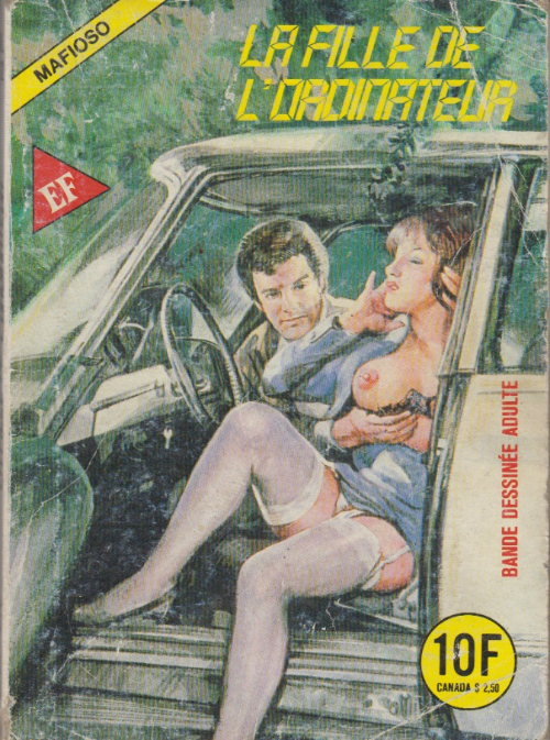 Fille de l'ordinateur (La)