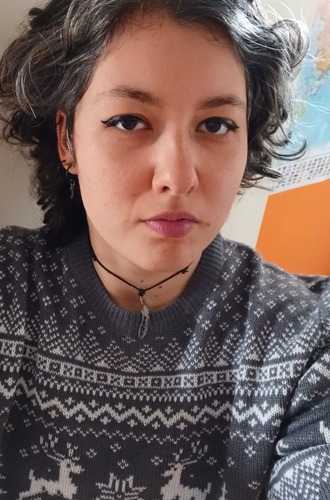 Irene Marchesini - Auteur