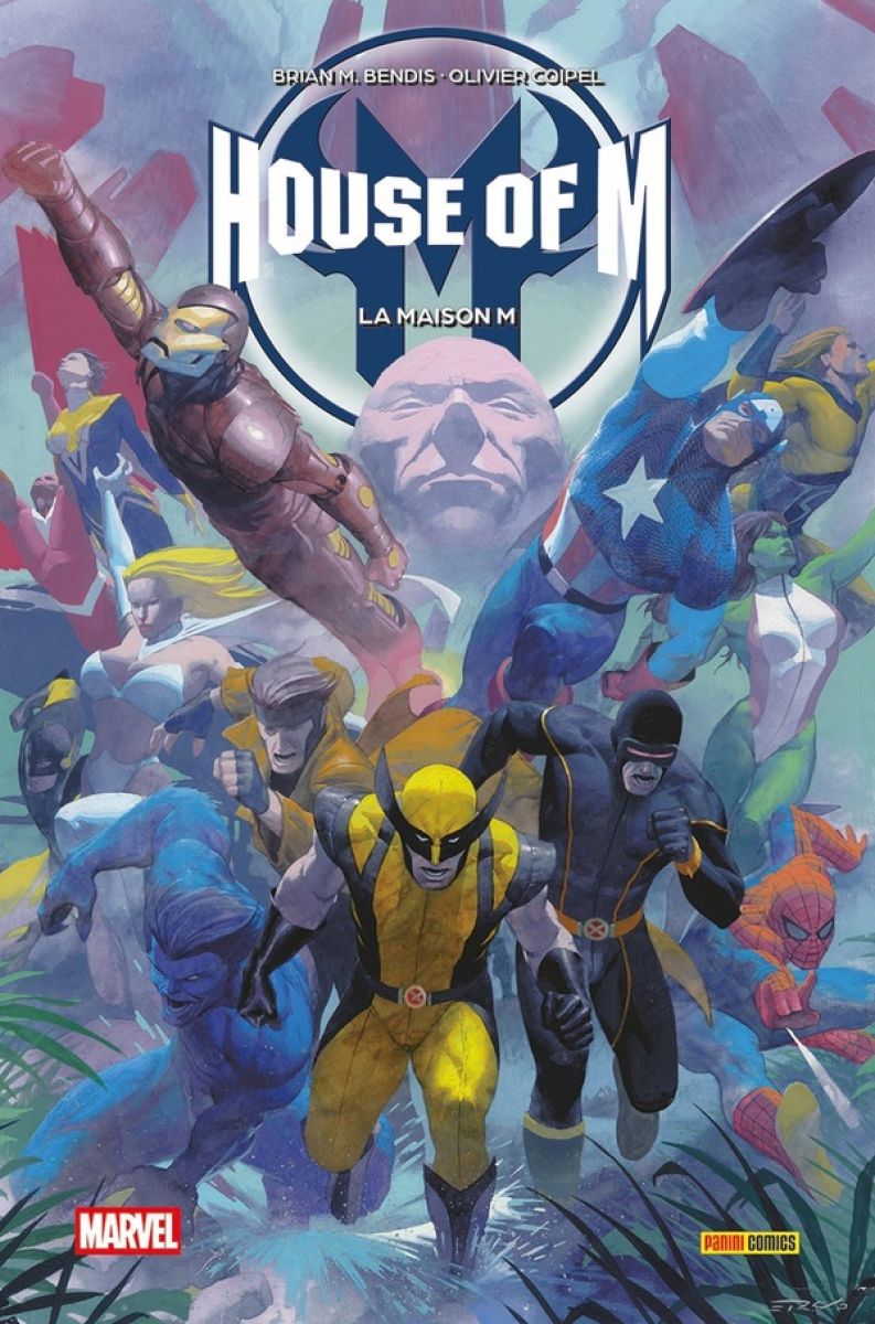 House of M par Reginald Hudlin, Nunzio DeFilippis, Christina Weir, Tom Peyer, Fabian Nicieza, Daniel Way, Peter David, Greg Pak, John Layman, Brian Michael Bendis, Ed Brubaker, David Hine, Chris Claremont, Tim Townsend, Scott Hanna, John Dell, Mike Mayhew, Rick Magyar et Olivier Coipel - Couverture
