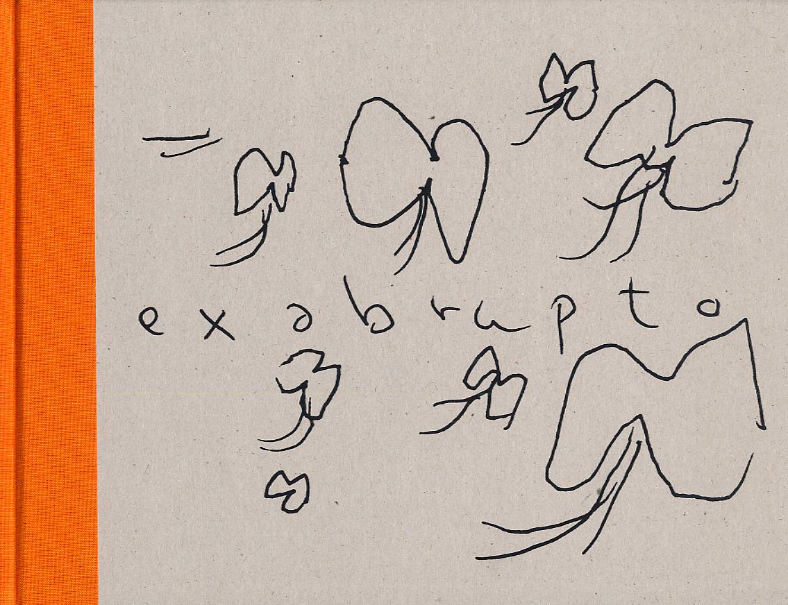 Ex abrupto - 9782952322515