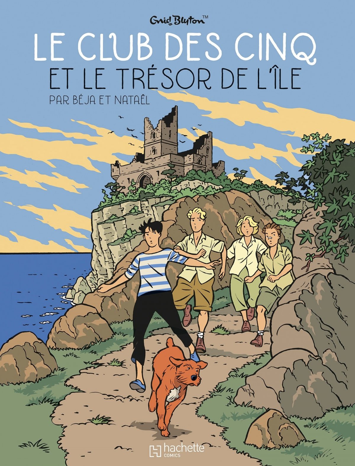 Club des Cinq et le trésor de l'île (Le) - Série Club des Cinq (Le) - 9782012905511