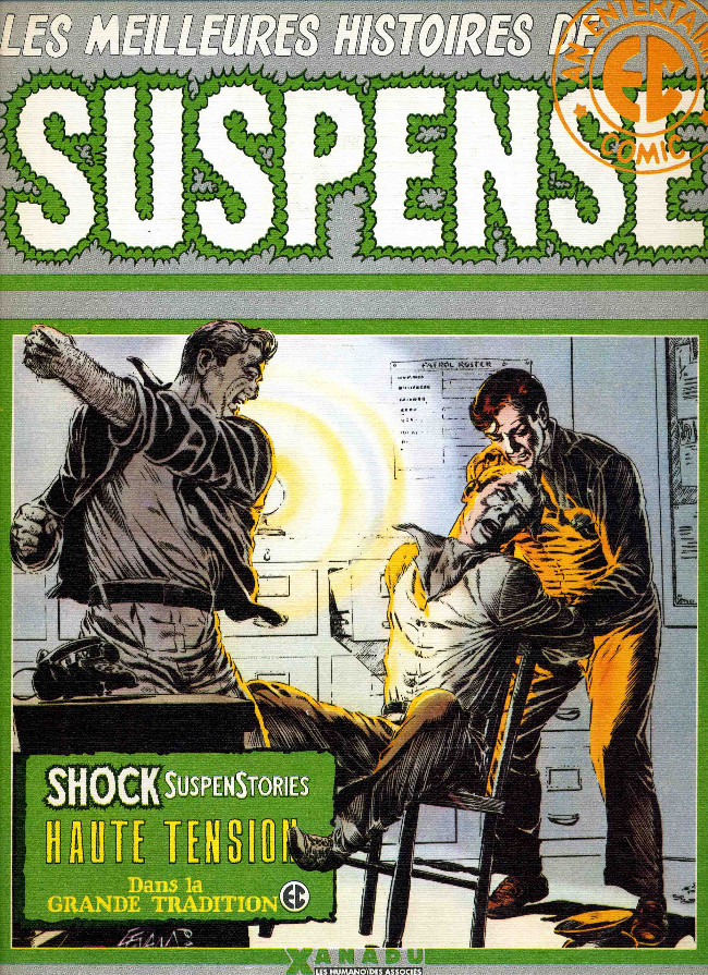 Meilleures histoires de suspense (Les)