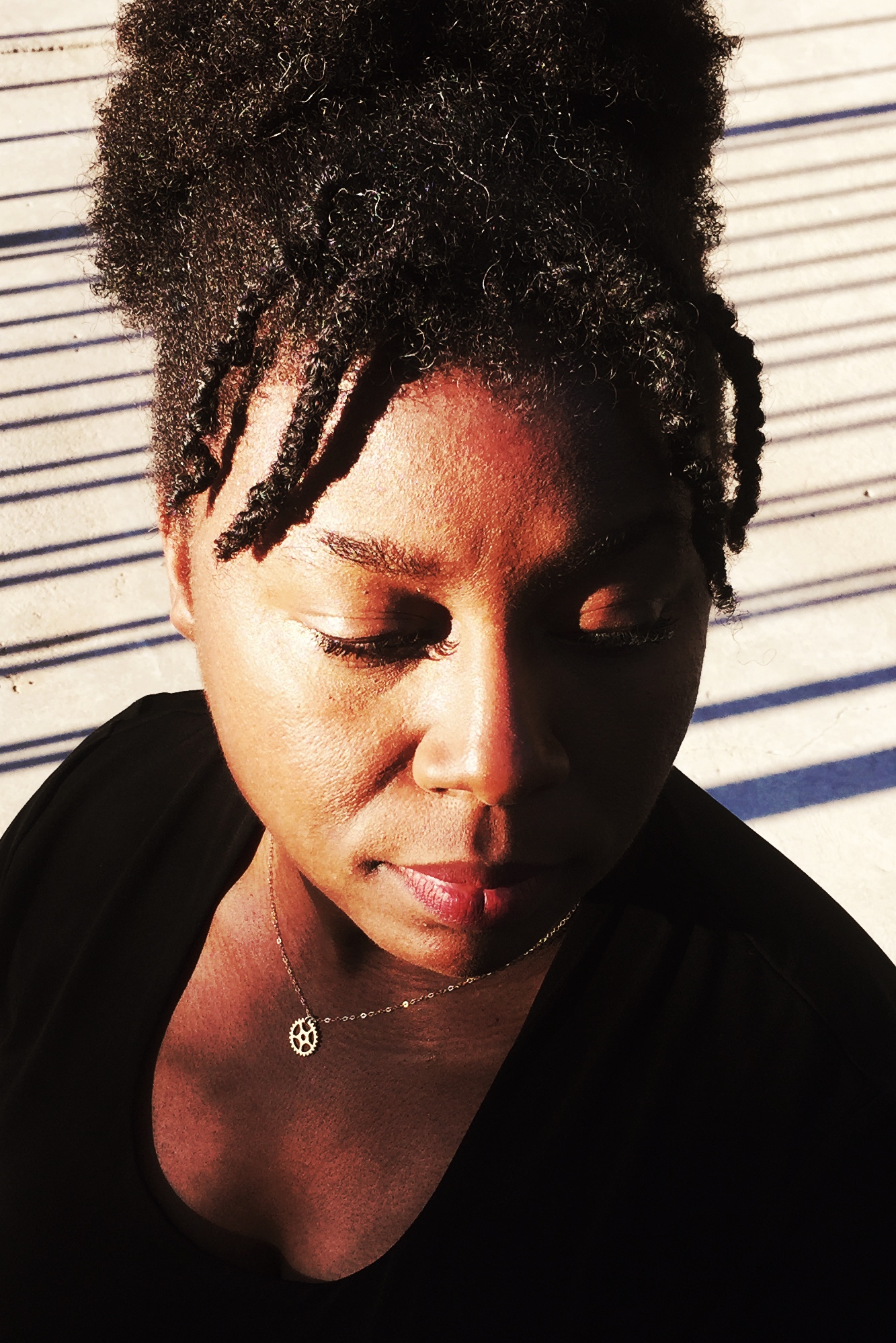 Sherri L. Smith - Auteur