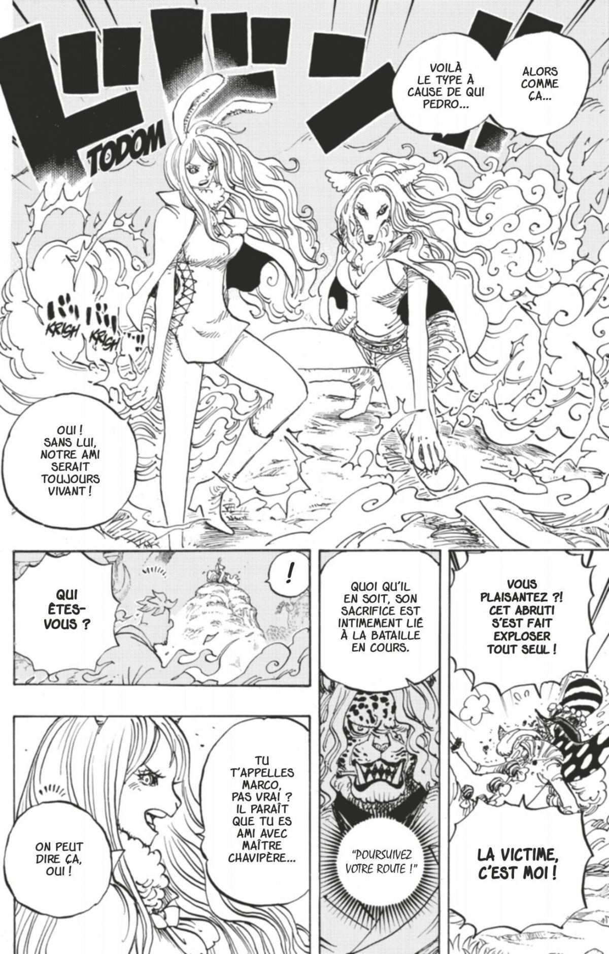 Luffy au chapeau de paille - Extrait 1