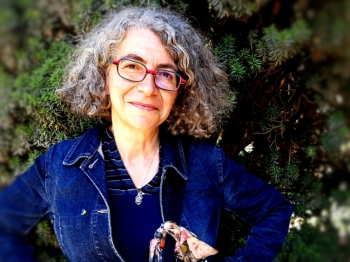 Anne-Sylvie Homassel - Auteur