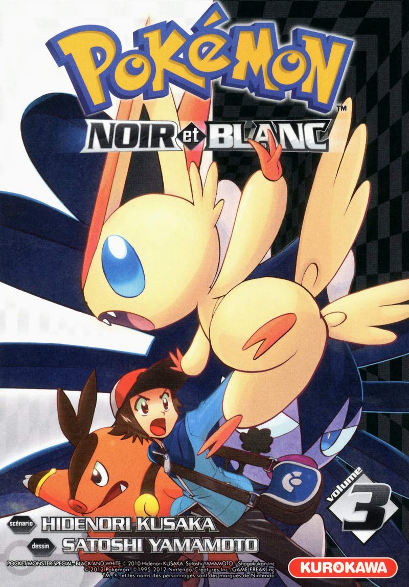 Pokémon Noir et Blanc 3