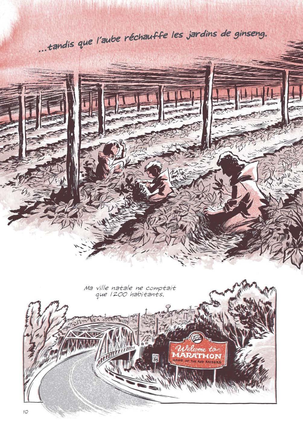 Ginseng roots - Extrait 1