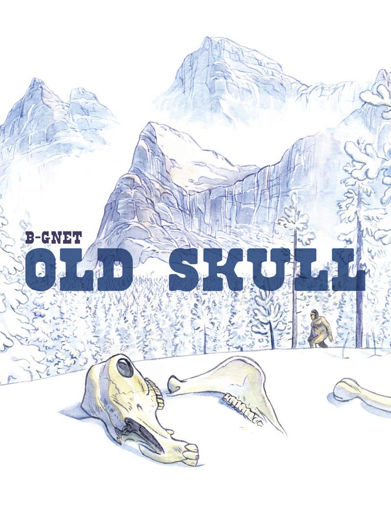 Old Skull - 9782352120605