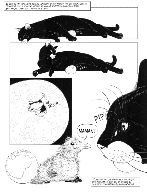 Histoire d'une mouette et du chat qui lui apprit à voler - Extrait 1