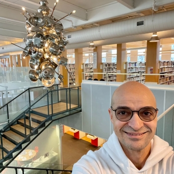 Karim Aktouf - Auteur