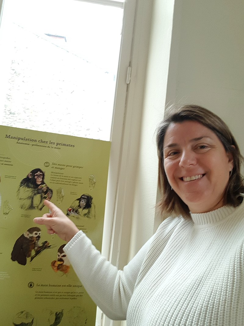 Emmanuelle Pouydebat - Auteur