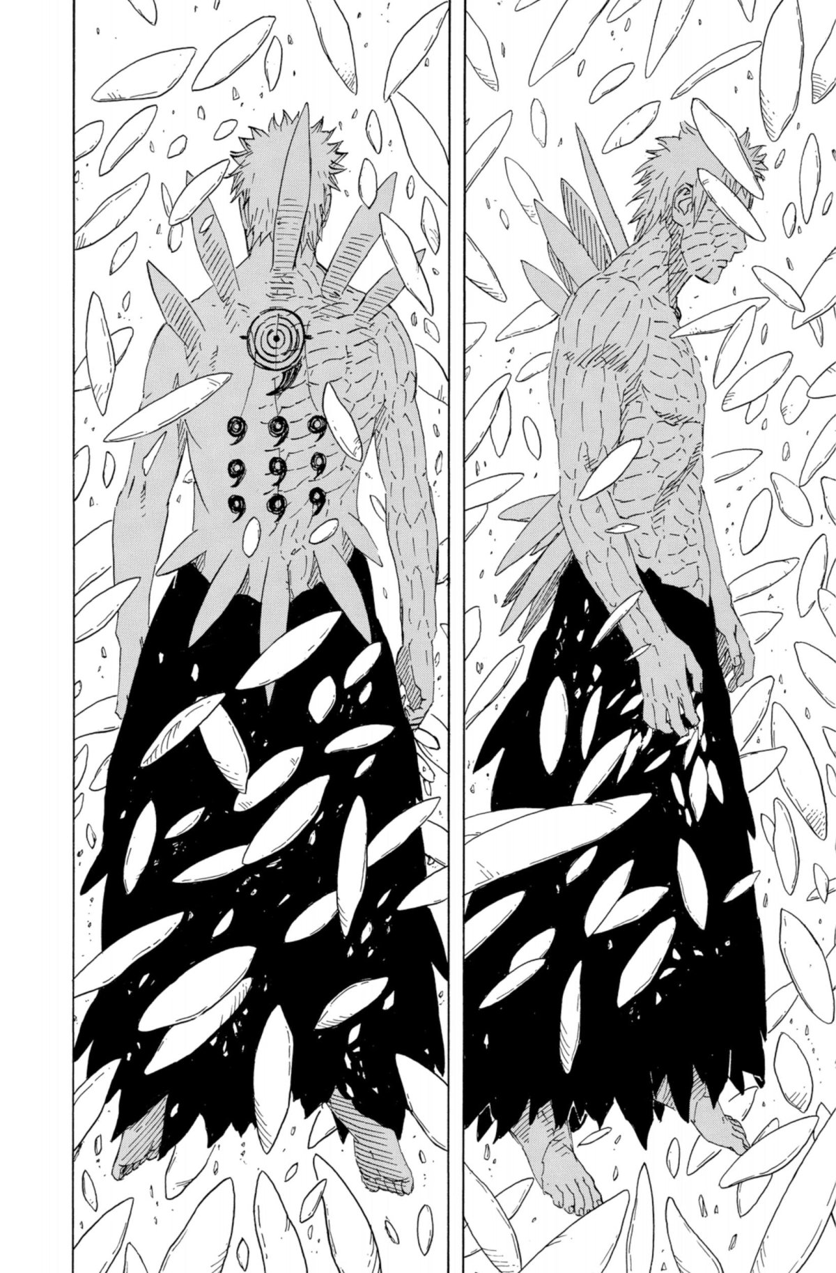 Naruto – Edition Hokage 34 - Extrait 1