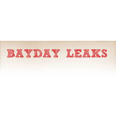 Un nouveau site "d'information" : Bayday Leaks