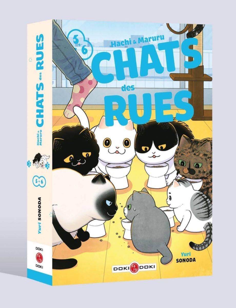 Hachi & Maruru - Chats des rues T5 et 6 - 9791041117130