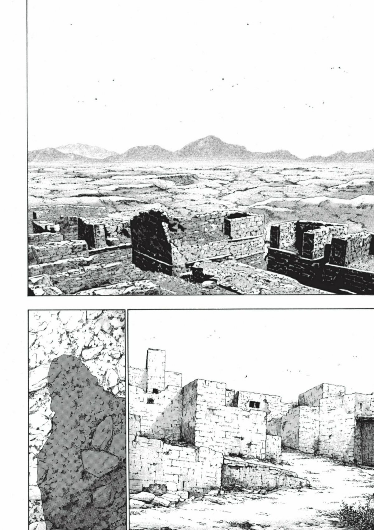 Coq de combat 18 - Extrait 1