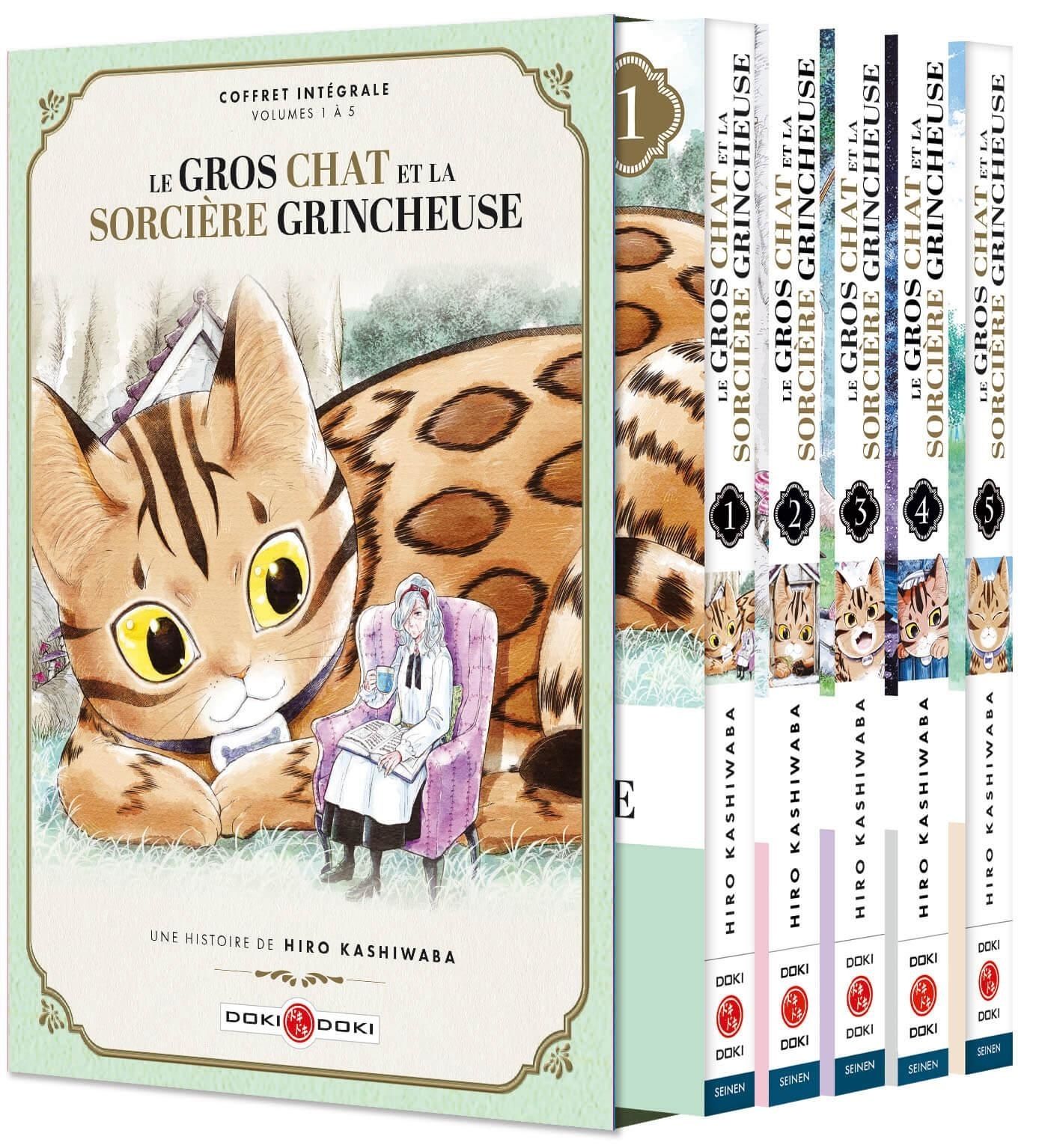 Gros chat et la sorcière grincheuse (Le) T1 à 5 - 9791041116133