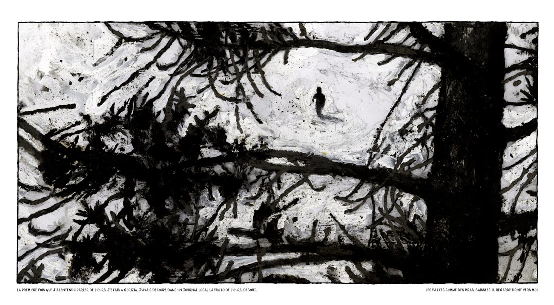 Histoire de l'ours (L') - Extrait 1