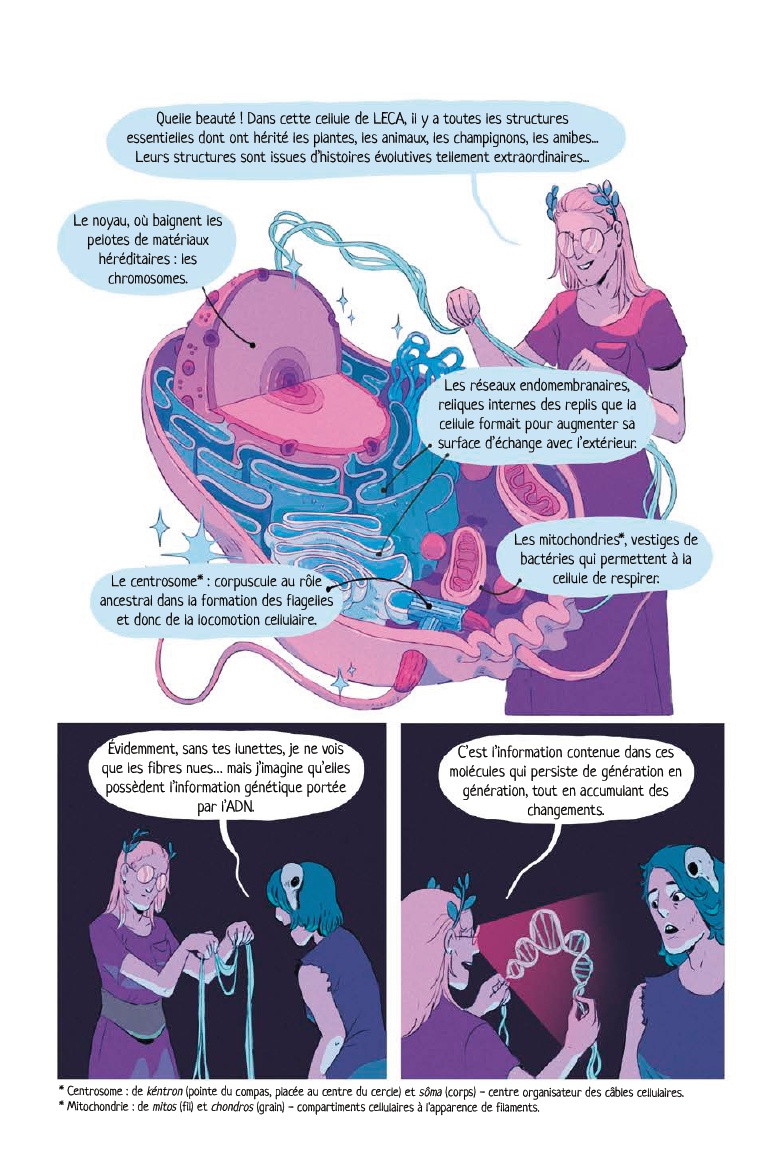 Odyssée évolutive (L') - Extrait 1