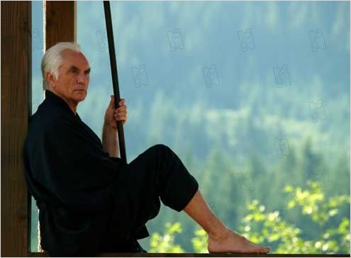 Terence Stamp - Auteur