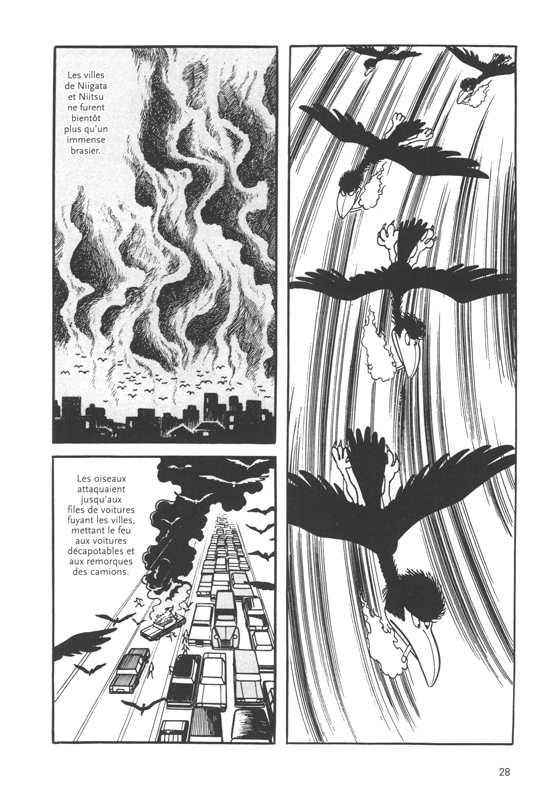 Demain les oiseaux - Extrait 1