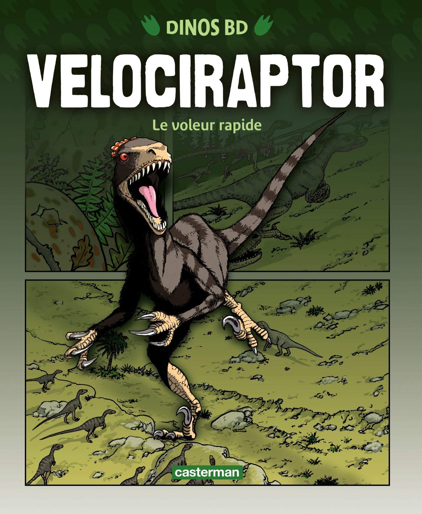 Vélociraptor - Le voleur rapide - Série Dinos BD par Rob Shone et Terry Riley - Couverture