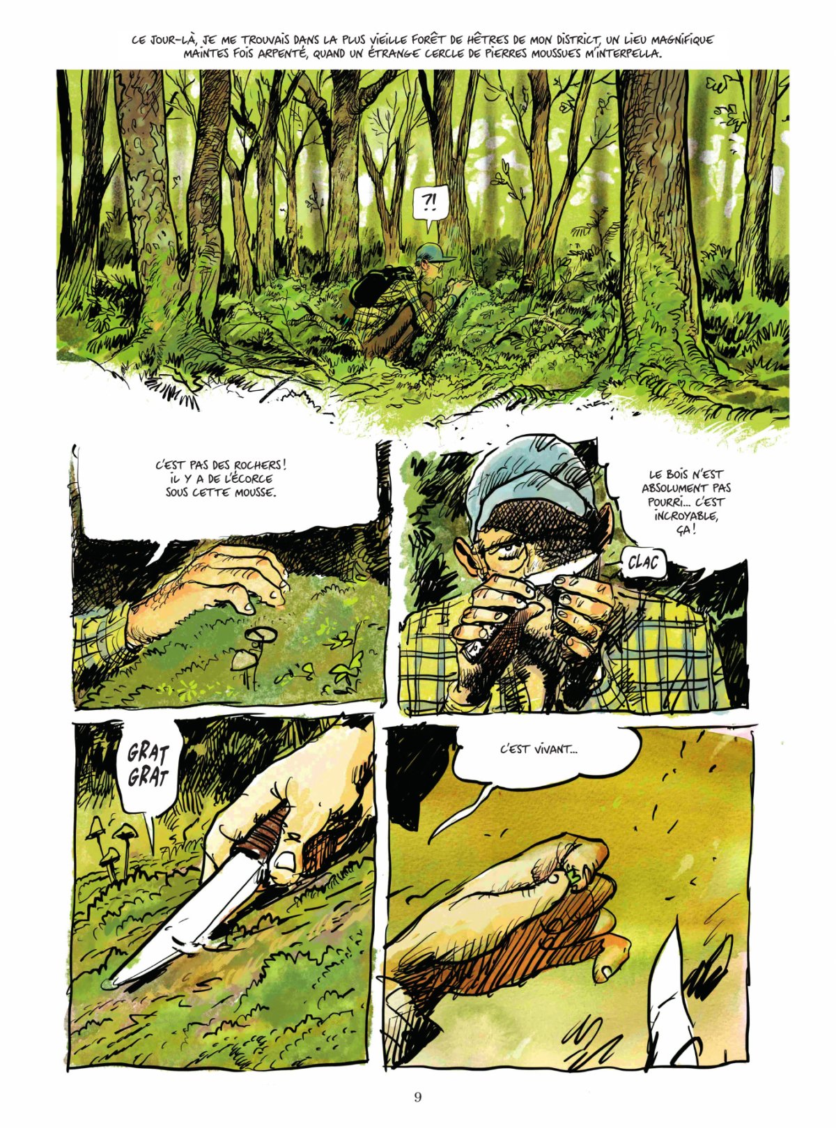 Vie secrète des arbres(La) - Extrait 1