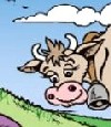 Les Ebroïciades 2004 de la BD