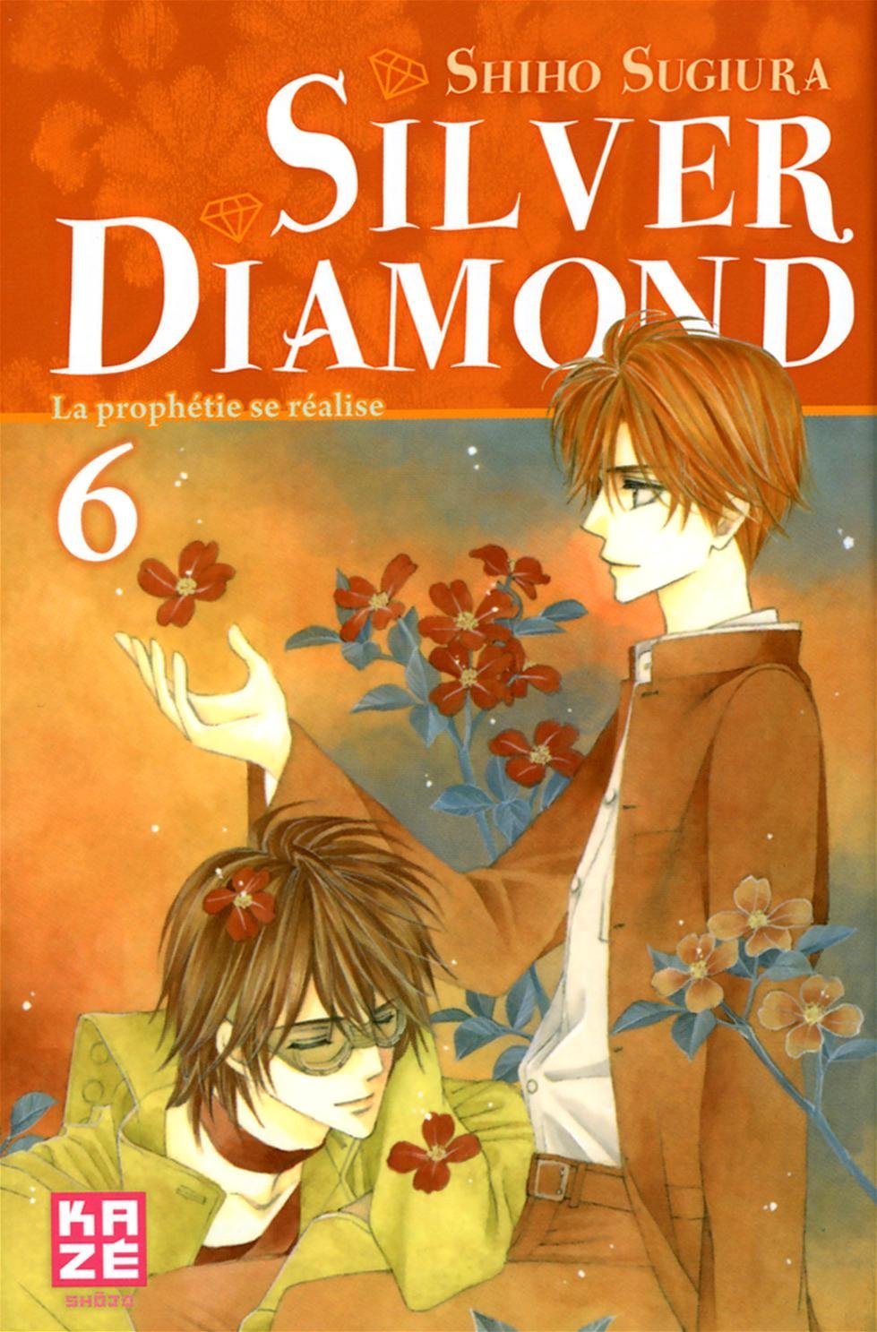 Silver Diamond 6