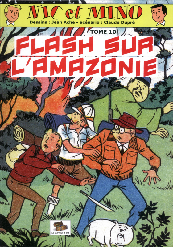 Flash sur l'Amazonie