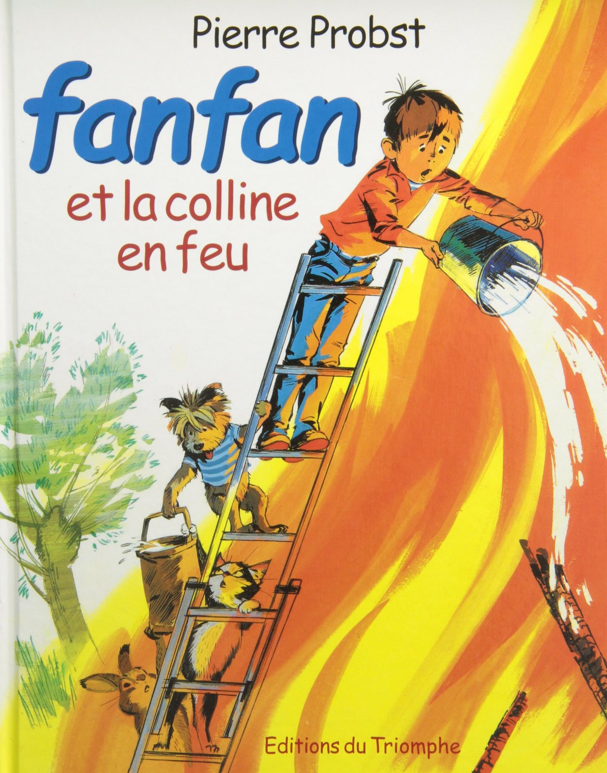 Fanfan et la colline en feu - Série Fanfan - 9782843781896