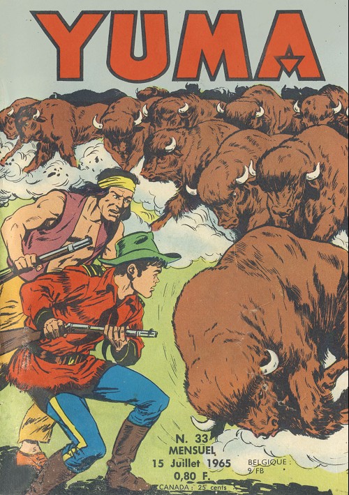 Charge des bisons (La)