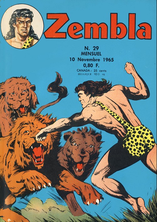Zembla contre l'homme invisible