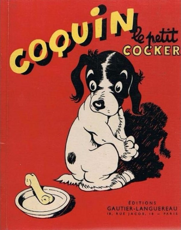 Coquin le petit cocker