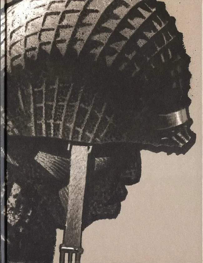 Cinq branches de coton noir - 9782800174174