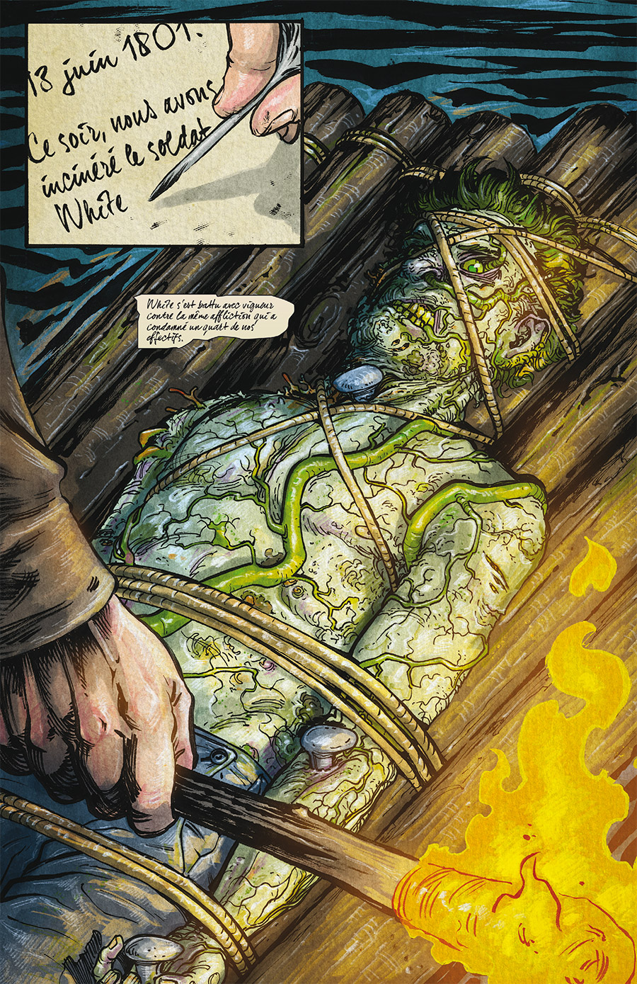 Chiroptères et carnivores - Extrait 1