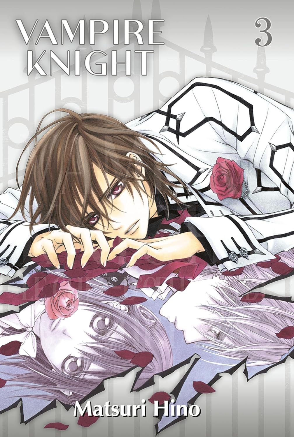 Vampire Knight - Perfect Edition 3