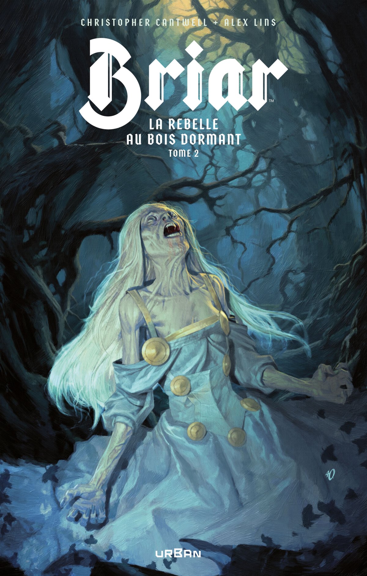 Briar - La Rebelle au bois dormant 2