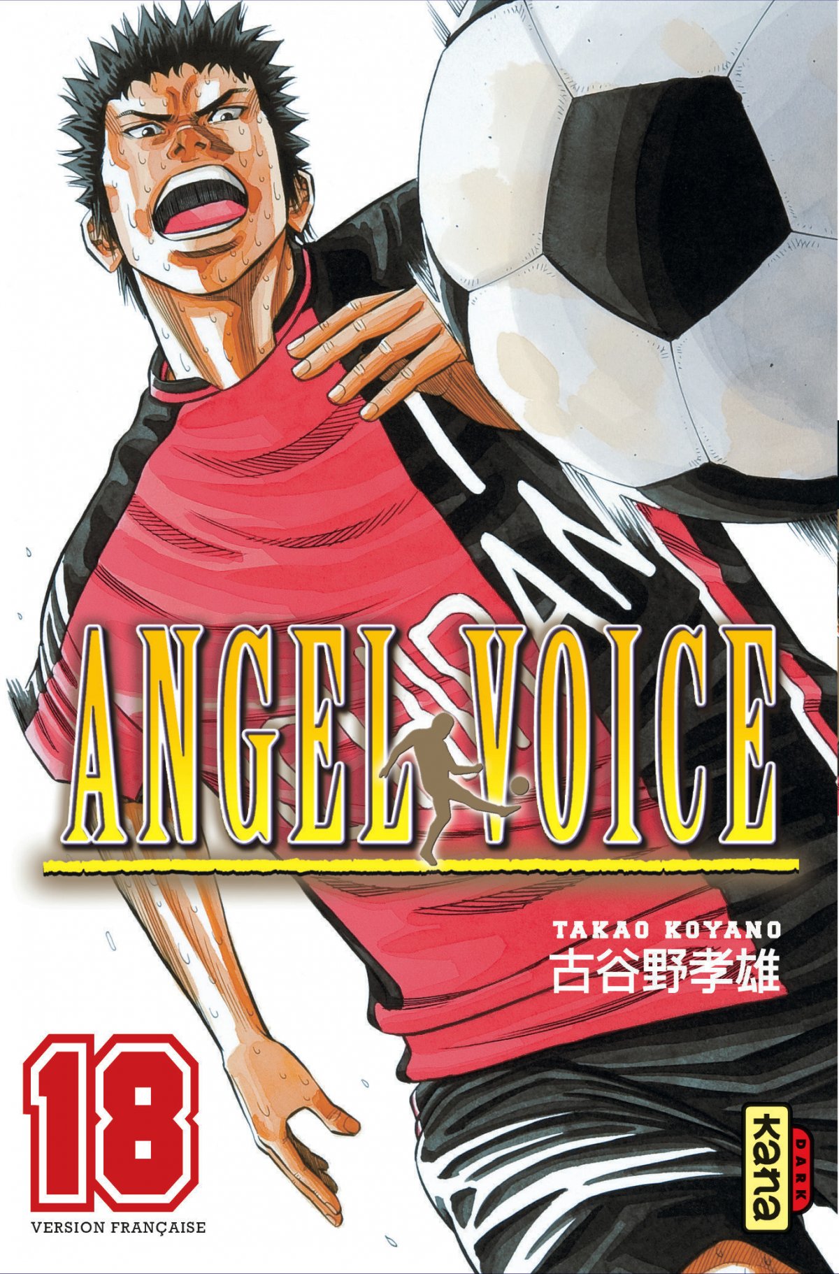 Angel Voice 18