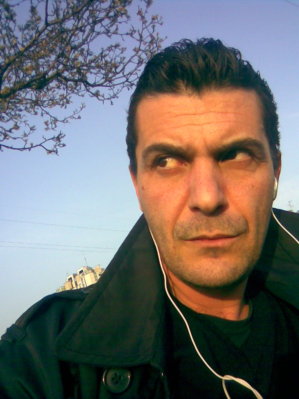 Onofrio Catacchio - Auteur