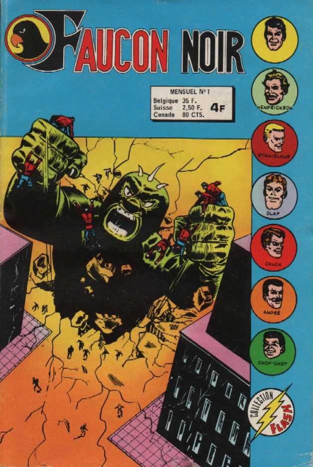 Faucon Noir 1