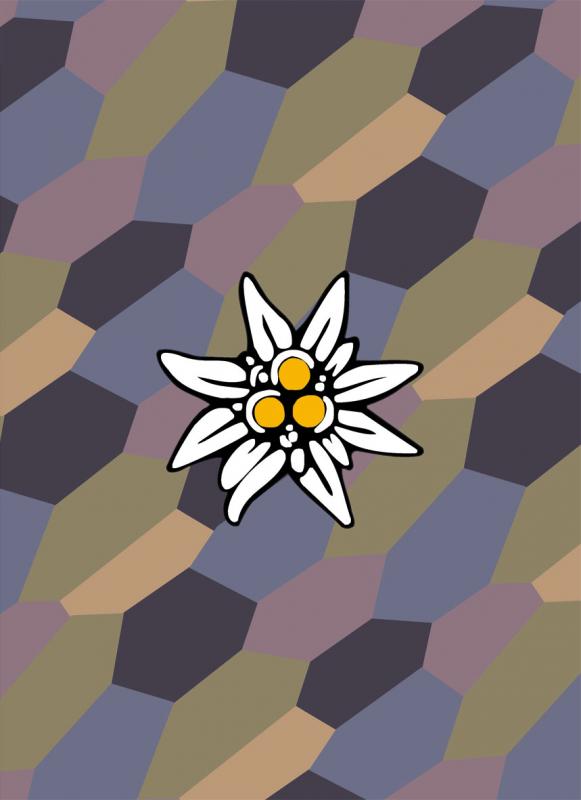 Walburga - Série Pilote à l'Edelweiss (Le) - 9782888906094