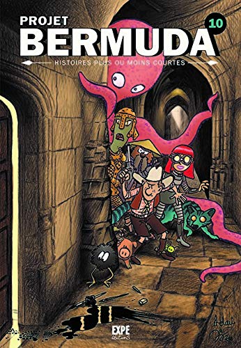Projet Bermuda 10